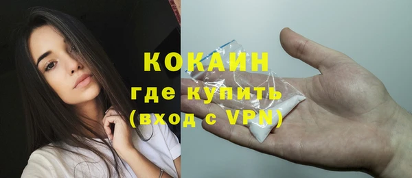 mix Богородицк
