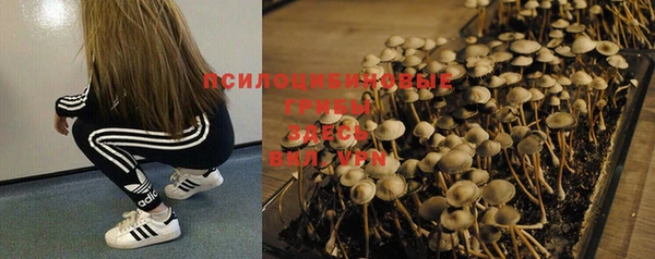mix Богородицк