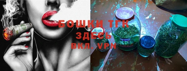 mix Богородицк