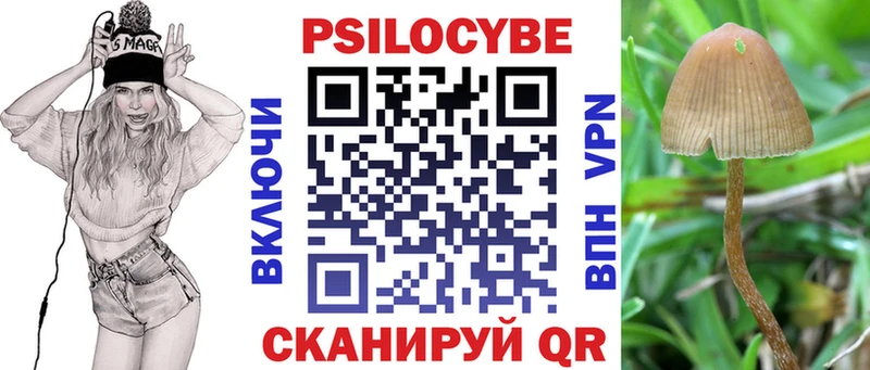 Галлюциногенные грибы MAGIC MUSHROOMS  гидра как войти  Семикаракорск 